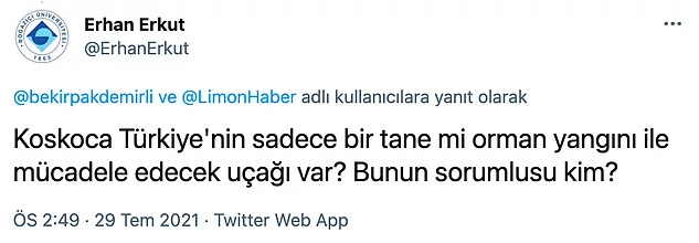 Marmariste yaşanan yangına tek bir uçakla müdahale edilmesine sosyal medyadan tepkiler geldi! Sizce haklılar mı?