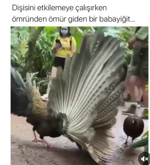 Bir insanı kısa sürede etkiniz altına alabilir misiniz?