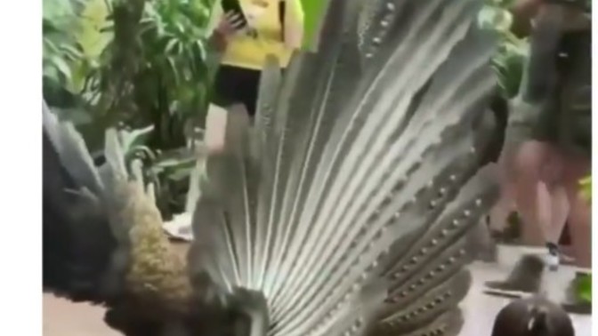 Bir insanı kısa sürede etkiniz altına alabilir misiniz?