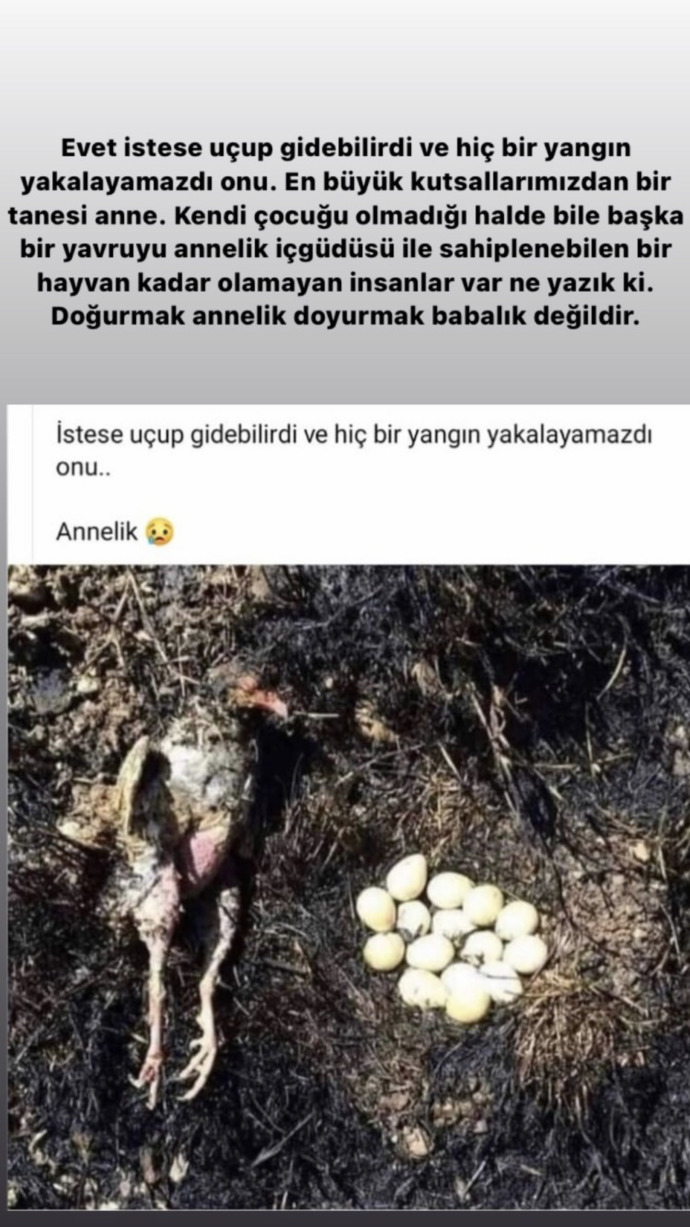 Evlilik dışı çocuk büyütme konusuna nasıl bakıyorsunuz?