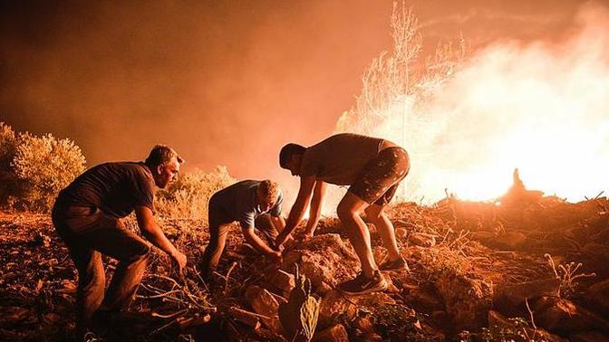 Tema Vakfı'nın projesi sayesinde herkes fidan bağışı yapabilir! Yeniden yeşertmek için var mısın💔🌱 ?