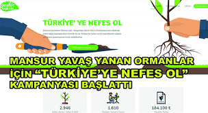 Yangından zarar gören ormanlarımızı tekrar ağaçlandırmak ister misiniz?