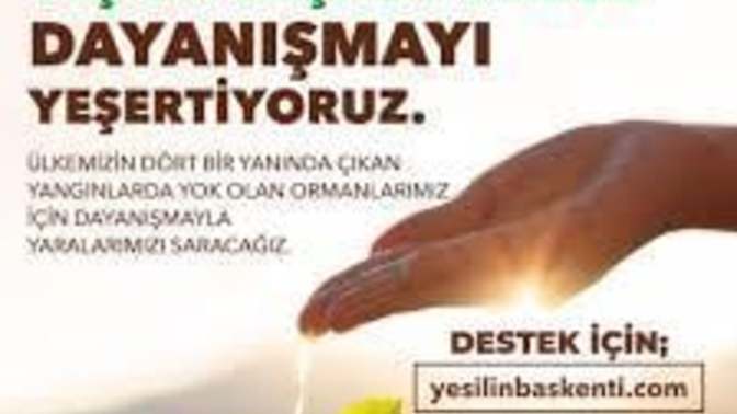 Yangından zarar gören ormanlarımızı tekrar ağaçlandırmak ister misiniz?