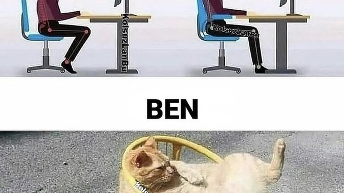 Oyuncu koltuğu gerekli bir eşya mı?