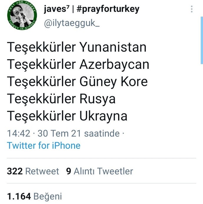 Bu ülkeler Türkiyedeki yangını durdurmak için destek vermeye hazır olduklarını söylediler. Ne düşünüyorsunuz?
