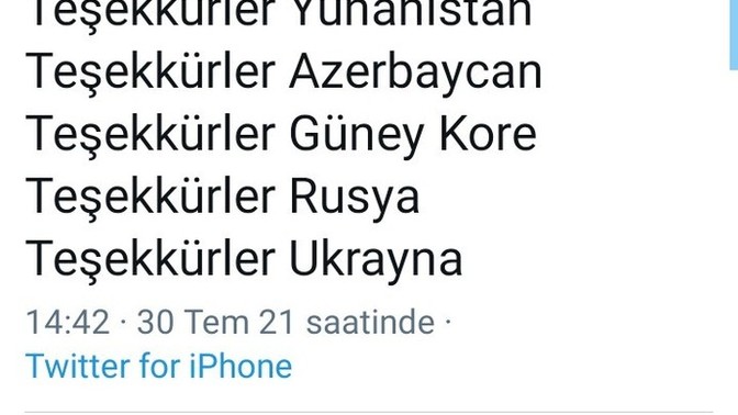 Bu ülkeler Türkiye'deki yangını durdurmak için destek vermeye hazır olduklarını söylediler. Ne düşünüyorsunuz?