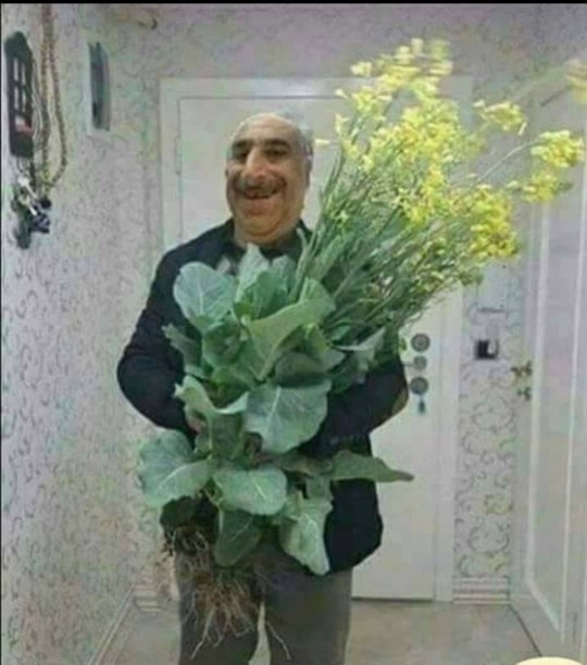 Tc erkeklerini bir kelimeyle özetleyebilir misiniz?