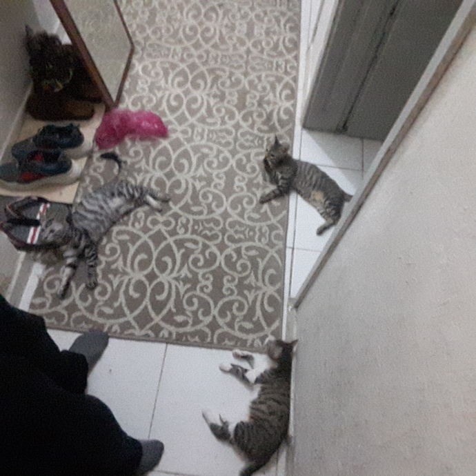Sevgiliniz yoksa neyiniz var?