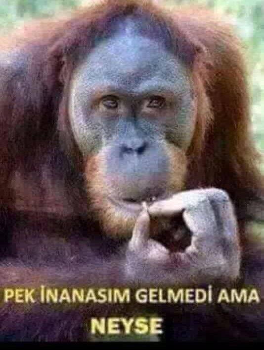 İki tane sevgilim var ikisiyle de görüşürüz birbirinden haberleri Yok?
