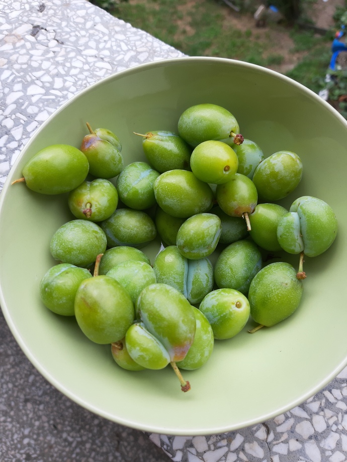 Çatal eriğini sever misiniz 👉🏻👈🏻😋?