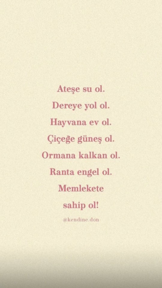 Ormanlar sizin için ne ifade ediyor?