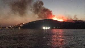 Hisarönünde yangın paniği.