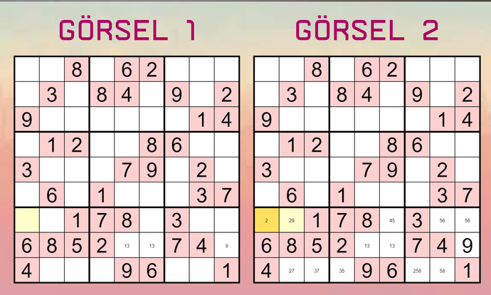 Sudoku nedir, nasıl oynanır? Sudoku ipuçları neler?