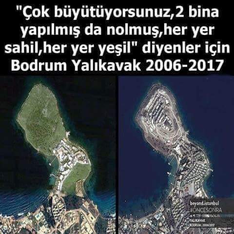 Orman yangınları sönmeden orman arazileri Turizm Bakanlığına devrediliyor! Bu konuda ne düşünüyorsun?