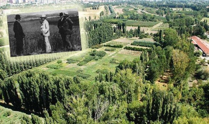 Dünyanın sonu geldiğinde 5 ülke ayakta kalacak! Sen hangi ülkede yaşamak isterdin?