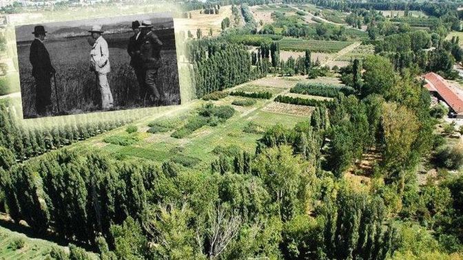 Dünyanın sonu geldiğinde 5 ülke ayakta kalacak! Sen hangi ülkede yaşamak isterdin?