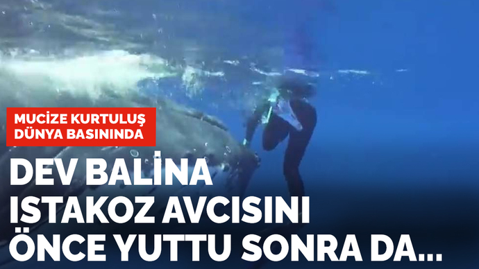 Balıkçı Packard dev balina tarafından yutuldu! Bu olay size ne düşündürdü?