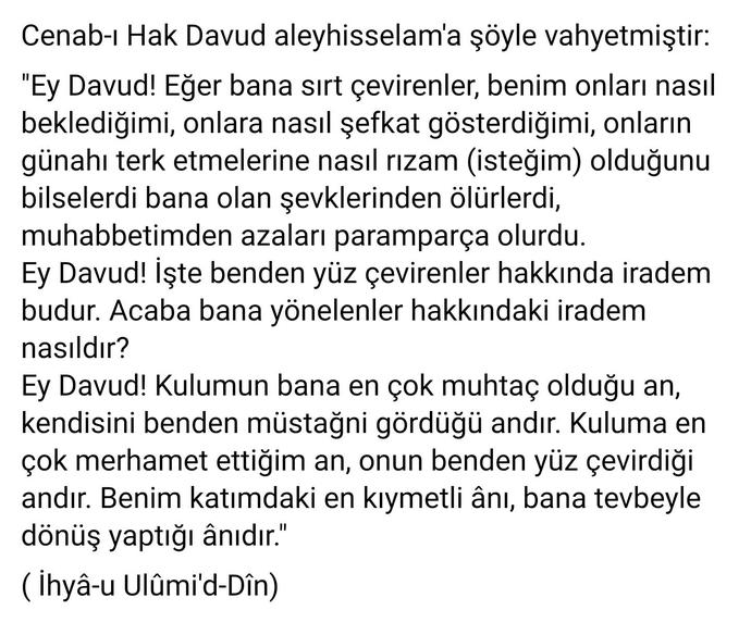 Sizce ikiz oğullarıma bu isimleri koymalı mıyım (Mergen, ülgen) (anlamları detaylarda) ?
