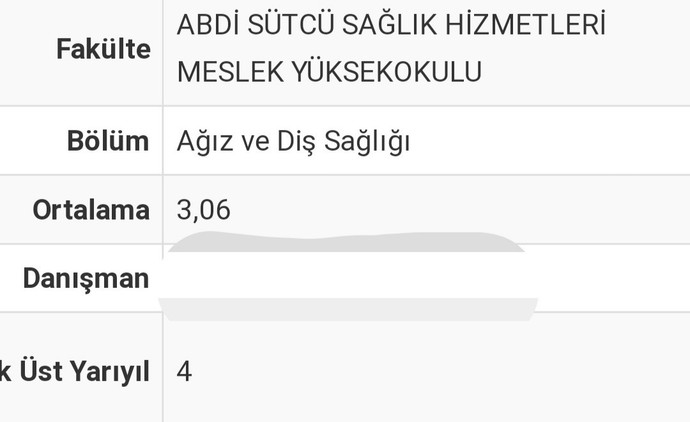 Hangi üniversiteden kaç ortalama ile mezun oldunuz?