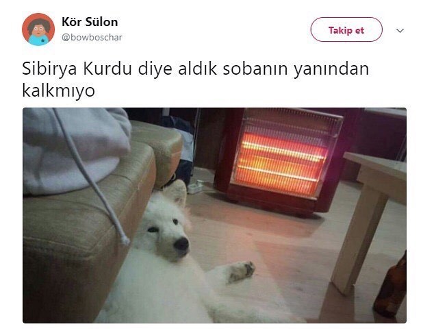 akıllara şunu getirdi :)