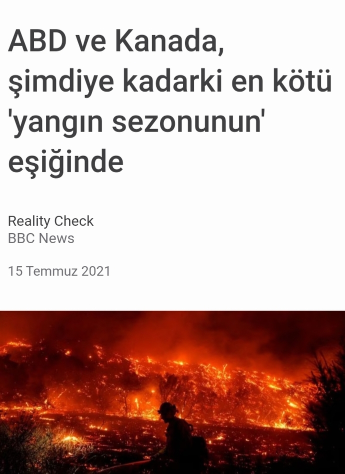 Yazın çıkan orman yangını gibi Yaz'ın yakmadığı çok belli.. dizeleri akılda