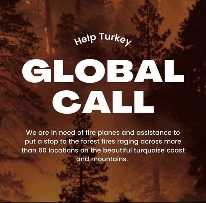 Ülkemizde çıkan yangınlar için #helpturkey etiketiyle bir yardım kampanyası başlatıldı. Bu kampanyaya siz de katılır mısınız?