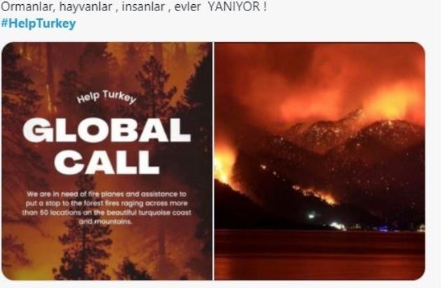 Türk insanı yangınlar için dünyadan yardım istedi, Fahrettin Altun: Devletimizi aciz göstermek istiyorlar dedi. Bu acizlik mi?