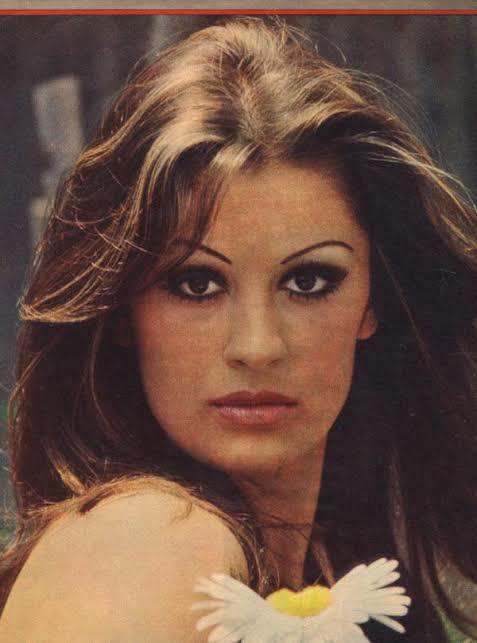 Gülşen Bubikoğlu mu daha güzel Fahriye Evcen mi?