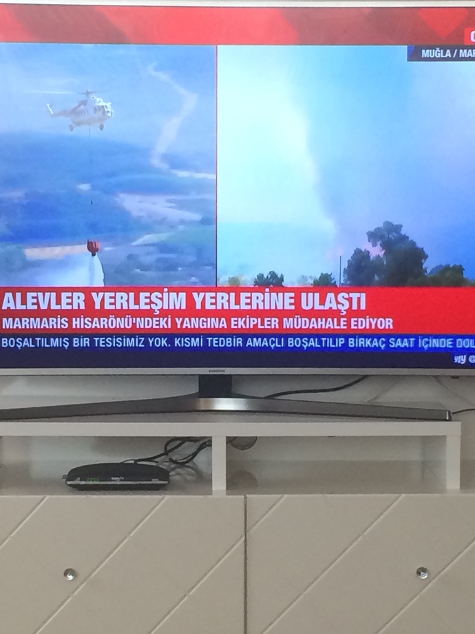Yangınların sebebinin siyasete bağlanmasını doğru buluyor musunuz?