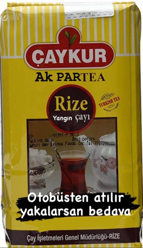 Azerbaycan milletvekili Ganira Paşayeva bir aylık maaşını yangın mağdurları için bağışladı. Ne düşünüyorsunuz?