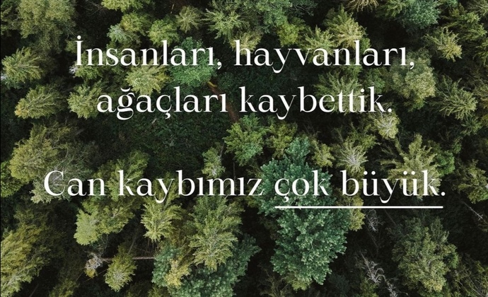 Son zamanlarda yaşanan olaylar karşısında sorumluluk bilincinizin olduğunu düşünüyor musunuz?