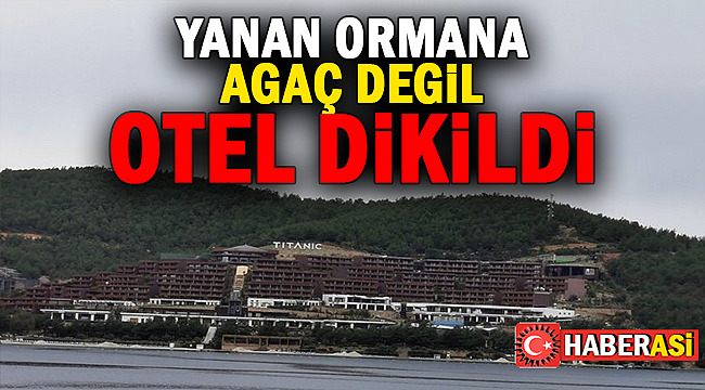 Sizce bu yangınlardan sonra bile hükümet... ?