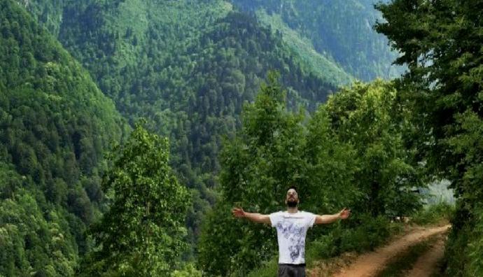 Tarkandan ormanları ranta açan düzenlemeye tepki?