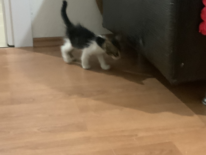Çok acill pls yardım eder misinizzz?