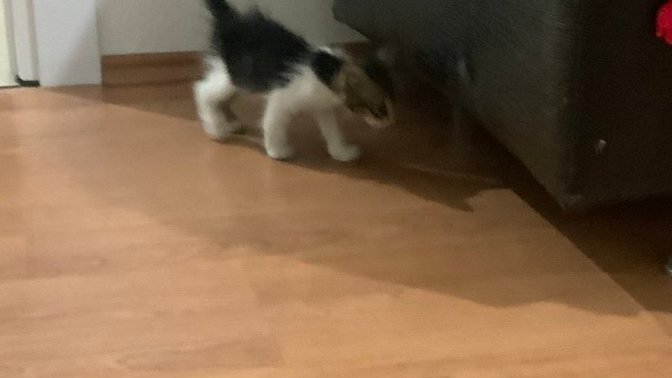 Çok acill pls yardım eder misinizzz?