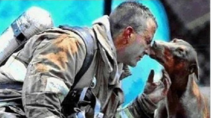 Hayvanlar dile gelip konuşsaydı ne derlerdi?
