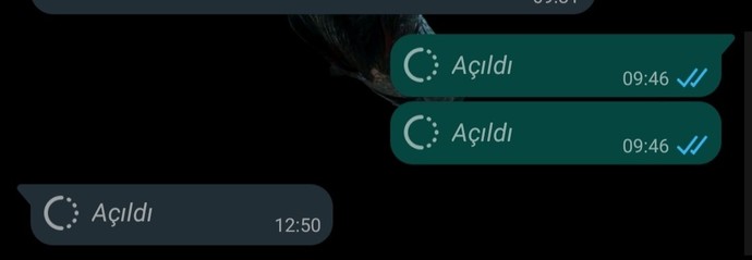 Whatsapp sadece 1 kez görüntülenecek fotoğraf özelliği getiriyor, kullanacak mısınız?