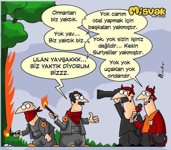 Manavgat'taki yangını 12 yaşındaki çocuk çıkarmış! Ne düşünüyorsunuz?