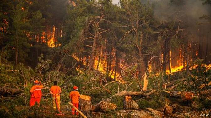 Manavgat'taki yangını 12 yaşındaki çocuk çıkarmış! Ne düşünüyorsunuz?
