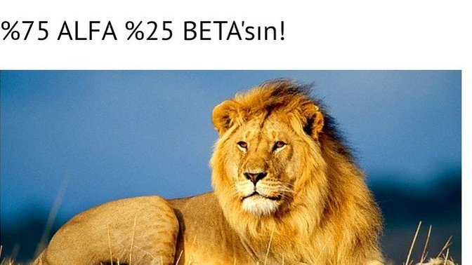 Alfa mısın beta mı?
