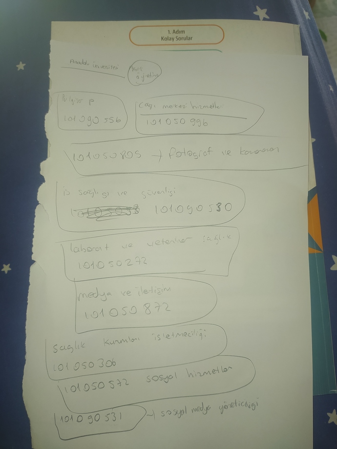 Tercih listenize hangi üniversite ve bölümleri yazmayı düşünüyorsunuz?