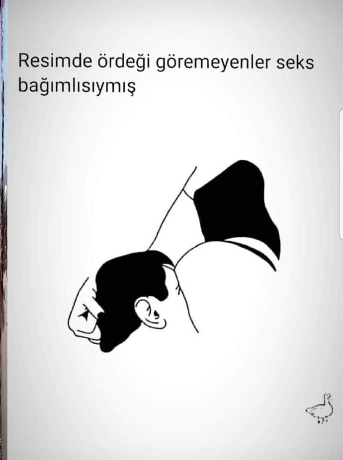 Resimdeki ördeği göremeyenler seks bağımlısıymış, siz gördünüz mü?