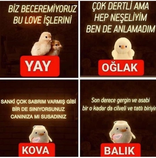 Burcunuzun özelliğini biliyor musunuz?