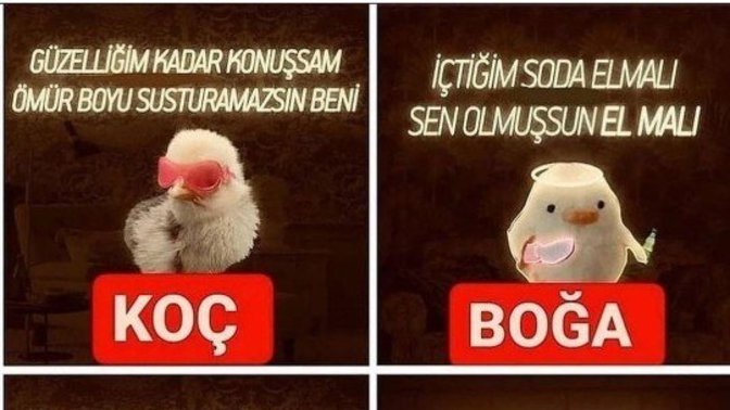 Burcunuzun özelliğini biliyor musunuz?