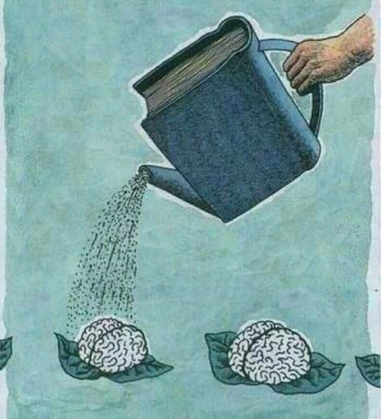 Eğitim kalitesizleştiriliyor mu?