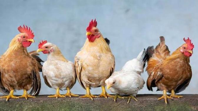 Kızlar kendi kocayı bulmasın, ailesi bulsun. Kızlar seçmeyi bilmiyorlar, haksız mıyım?
