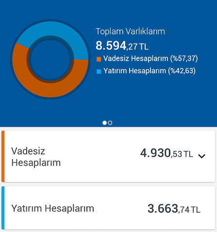 Hesabınızda ne kadar para var?
