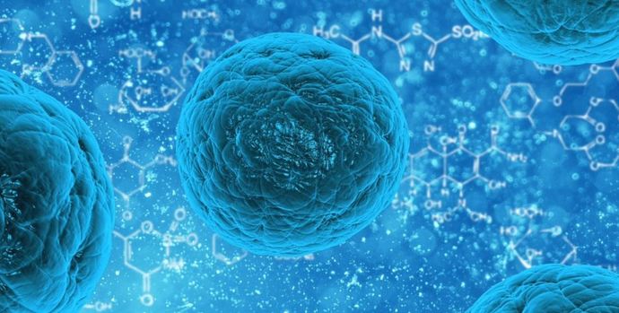 Bağışıklık sistemi nasıl güçlendirilir?