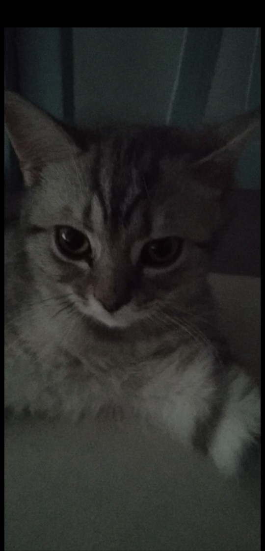 Kendi çektiğiniz güzel bir fotoğrafı burada paylaşır mısınız?