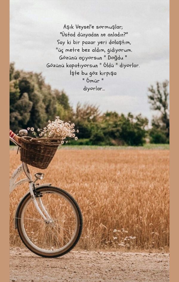 Şu ana kadar olan yaşamınızdan ne anladınız?